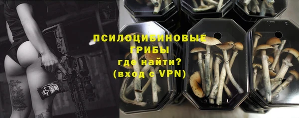 винт Бородино