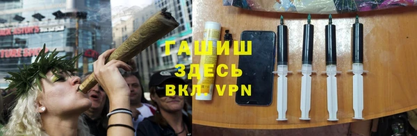 прущие грибы Верея