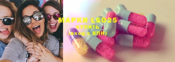 прущие грибы Верея