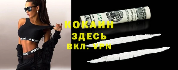 прущие грибы Верея