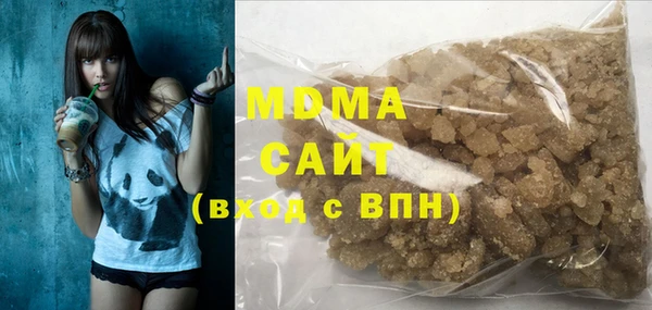 прущие грибы Верея